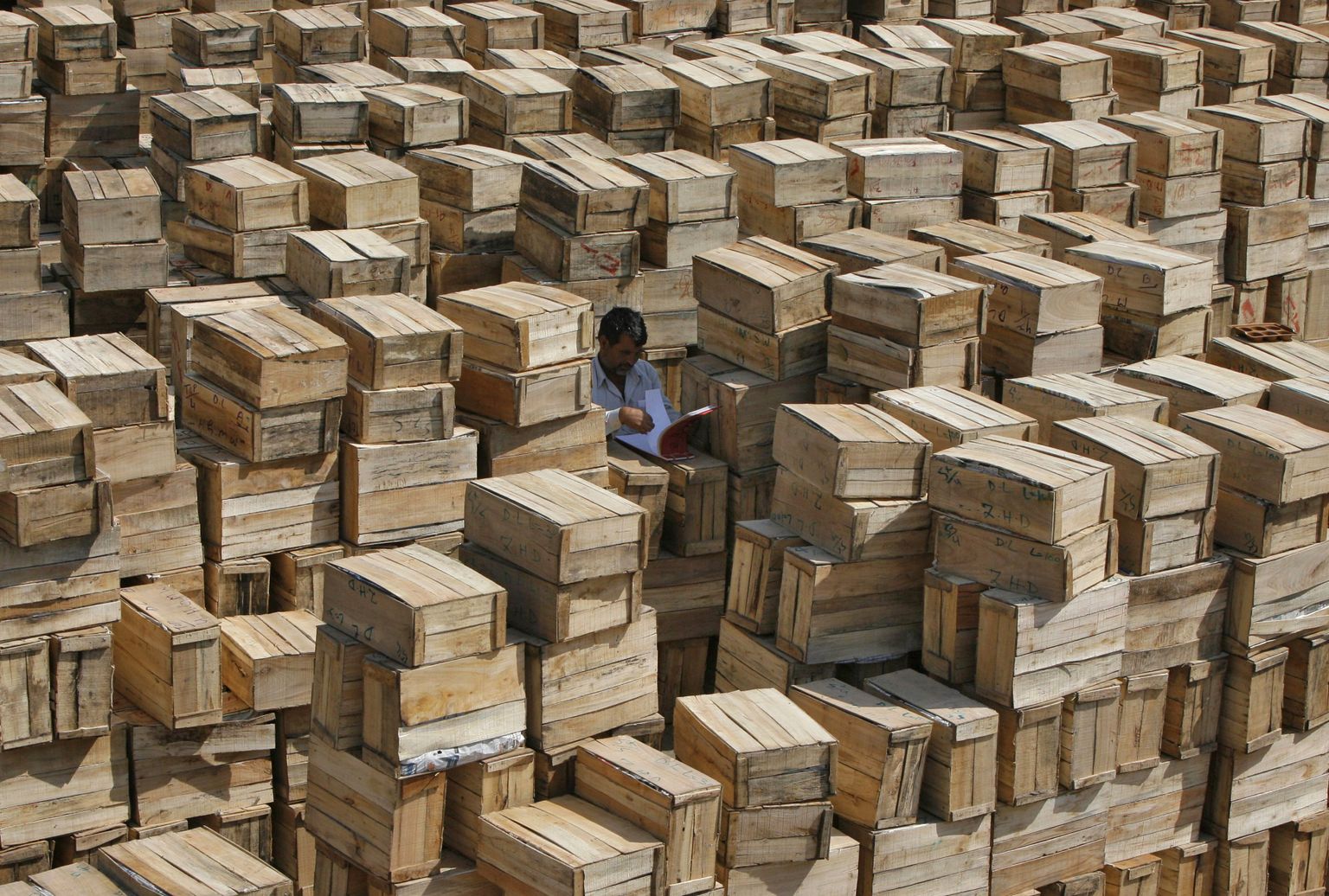 Põllumajandusamet on kontrollinud Hiinast pärit kivide ja terastoodete puidust pakkematerjali alates 1. aprillist 2013. Ligikaudu 2% kontrollitud puidust pakenditest on olnud saastunud elusate taimekahjustajatega.