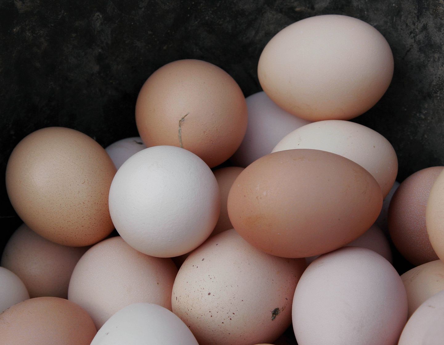 Lihavõtted ärgitavad valgeid mune ostma.