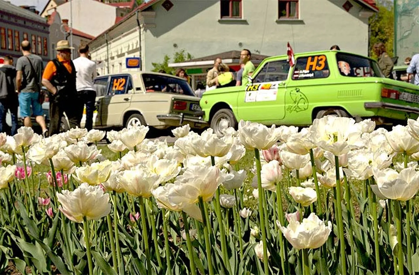 Raksta foto