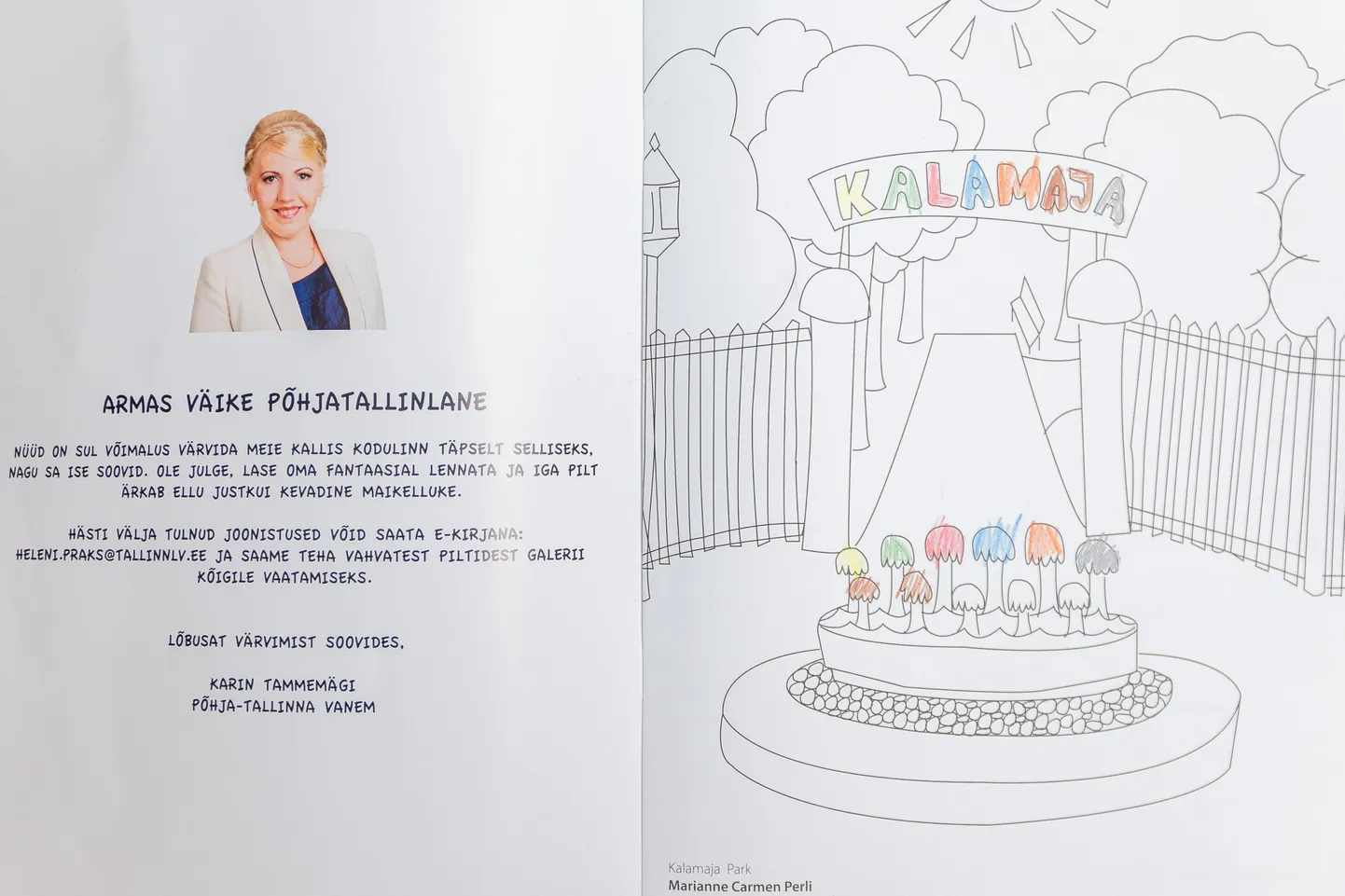 Värviraamat põhjatallinlastele