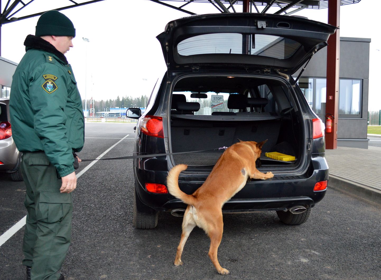 Robežsargs ar suni robežkontroles punktā "Vientuļi"; ilustratīvs foto.