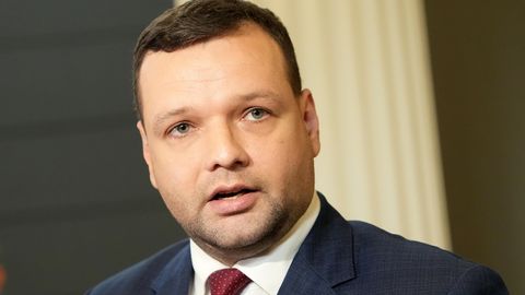 Узулниекс: правительству следовало доработать до выборов