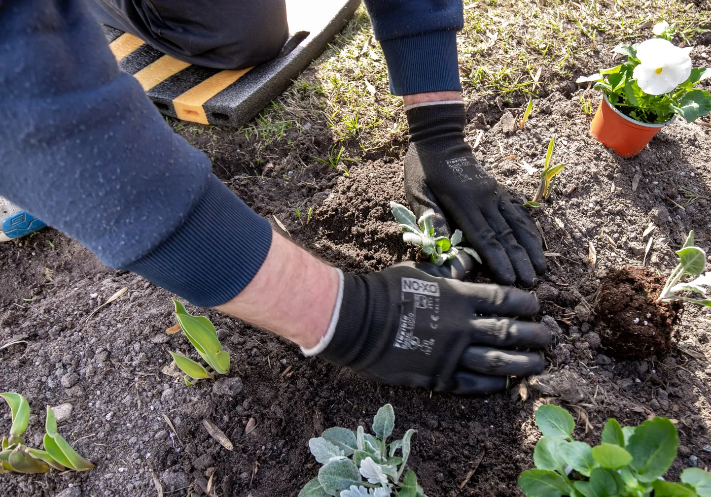 Paljud aiatööd eeldavad kummardamist, see aga on alaseljale suur koormus.