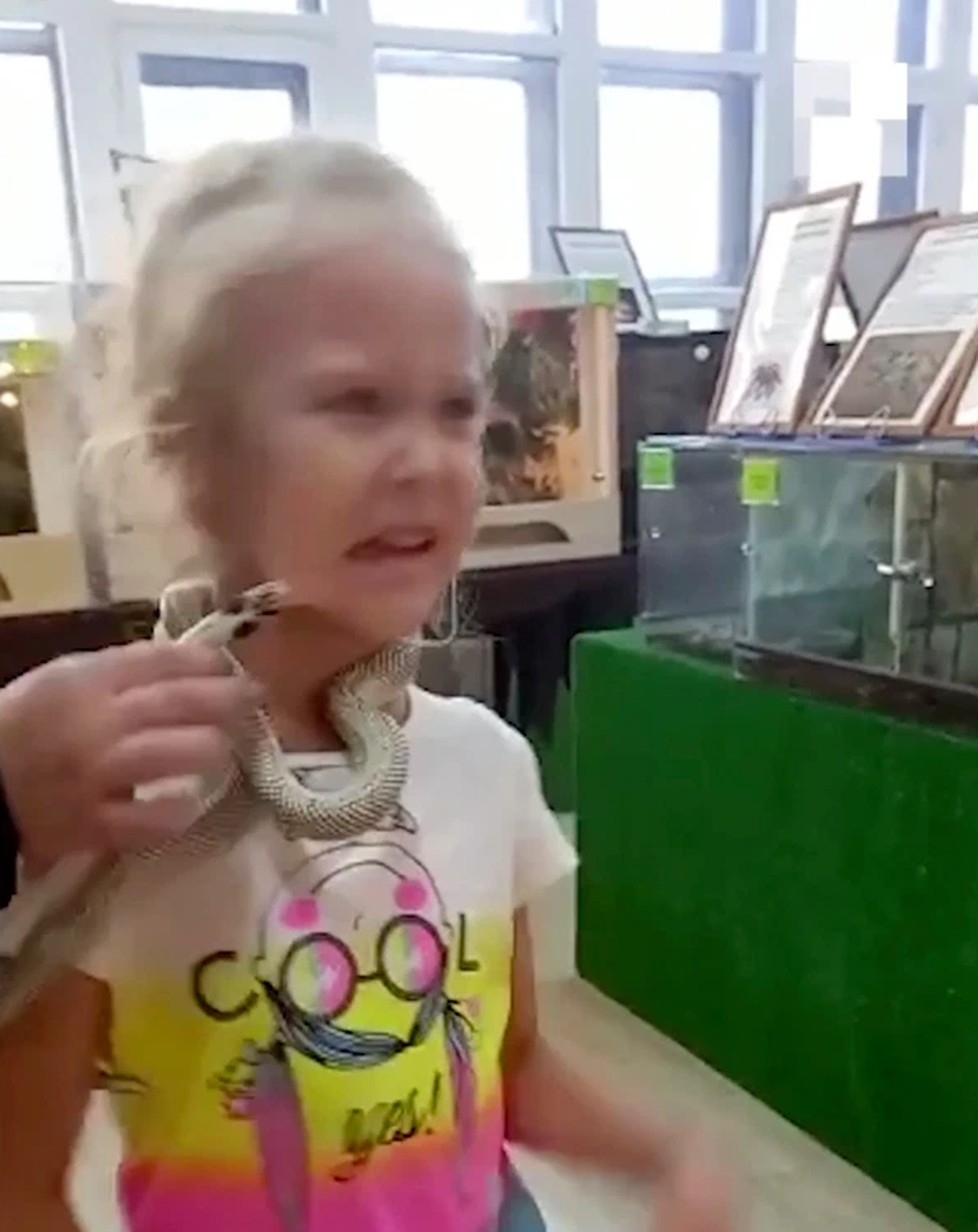 Venemaa loomaaias elav madu hammustas 5-aastast külastajat näost.