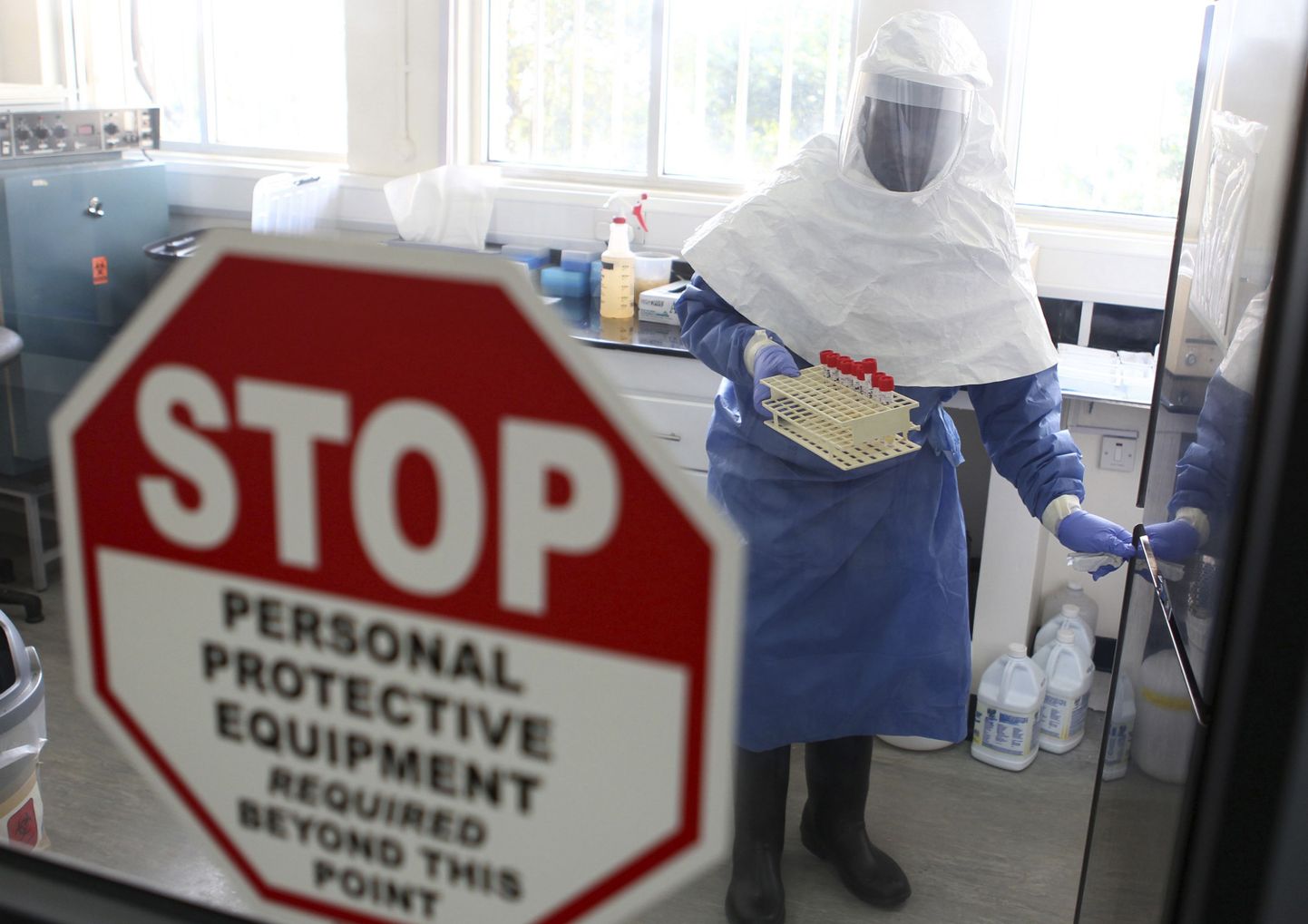 Arst tegelemas proovidega, mis võeti ebola viirusesse haigestunud inimestelt.