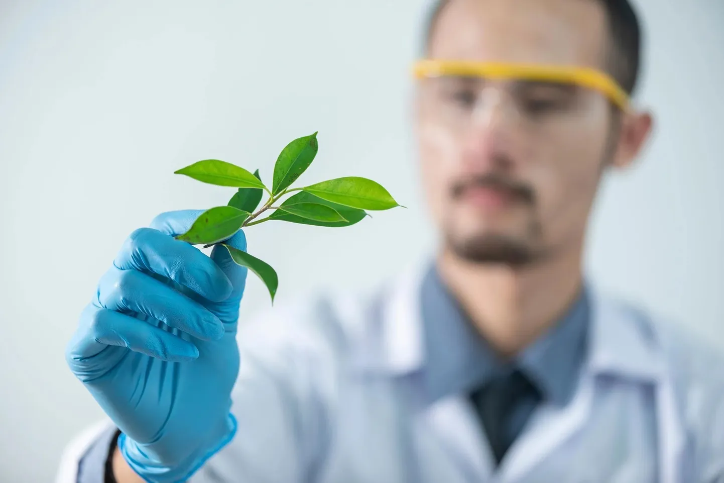 Ottawa ülikooli tudengid töötasid välja Phytogene'i, taimepõhise süsteemi, mis võimaldab inimestel kodus olulisi ravimeid kasvatada. Ozempicu puudusest inspireerituna pälvis see keskkonnasõbralik innovatsioon ülemaailmse tunnustuse ja tõotab muuta seda, kuidas me ravimitele ligi pääseme.