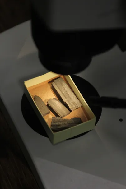 Püriidi tükid TTÜ geoloogia instituudi kogus.