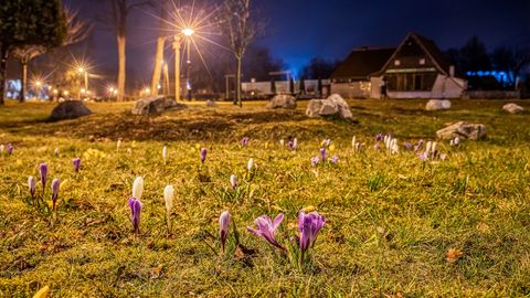 Pēc lietainām dienām nedēļas nogalē gaidāms pārsvarā saulains laiks