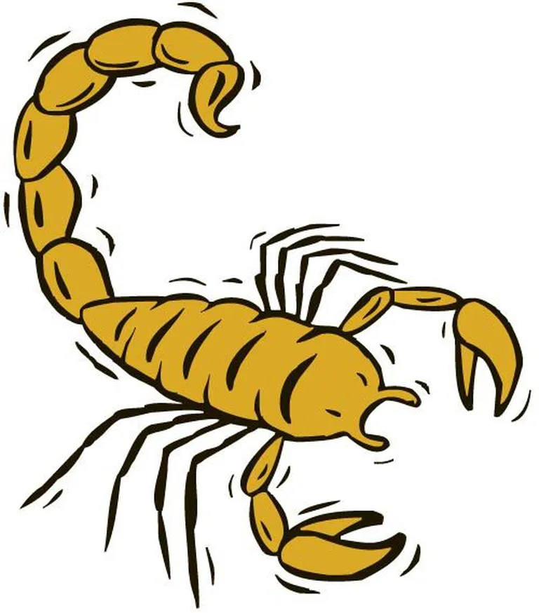 Skorpion.