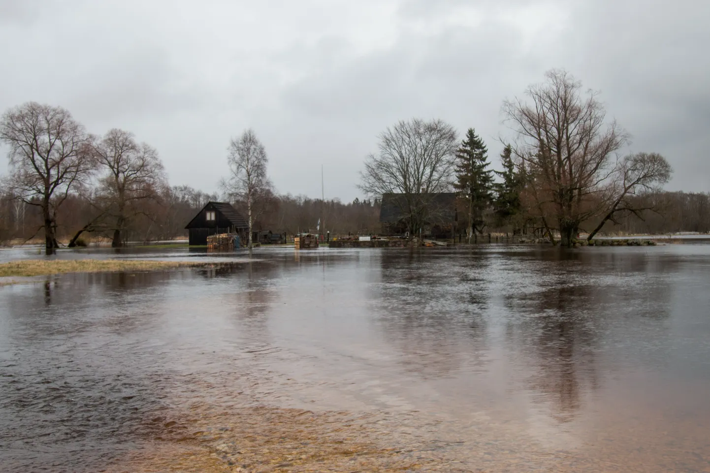 Jääminek Pärnu jõel ja üleujutus Soomaal.
