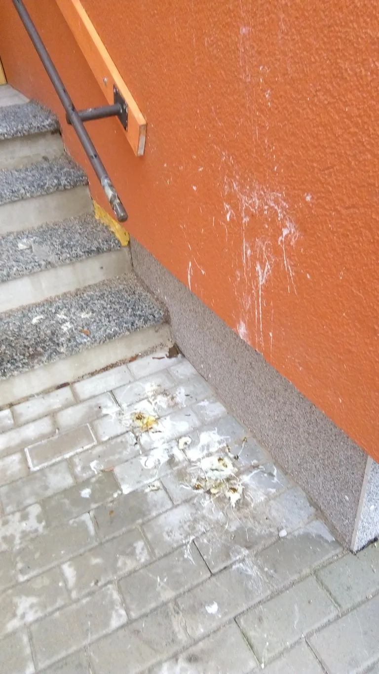 Vareste reostatud lasteaia territoorium möödunud aastal.