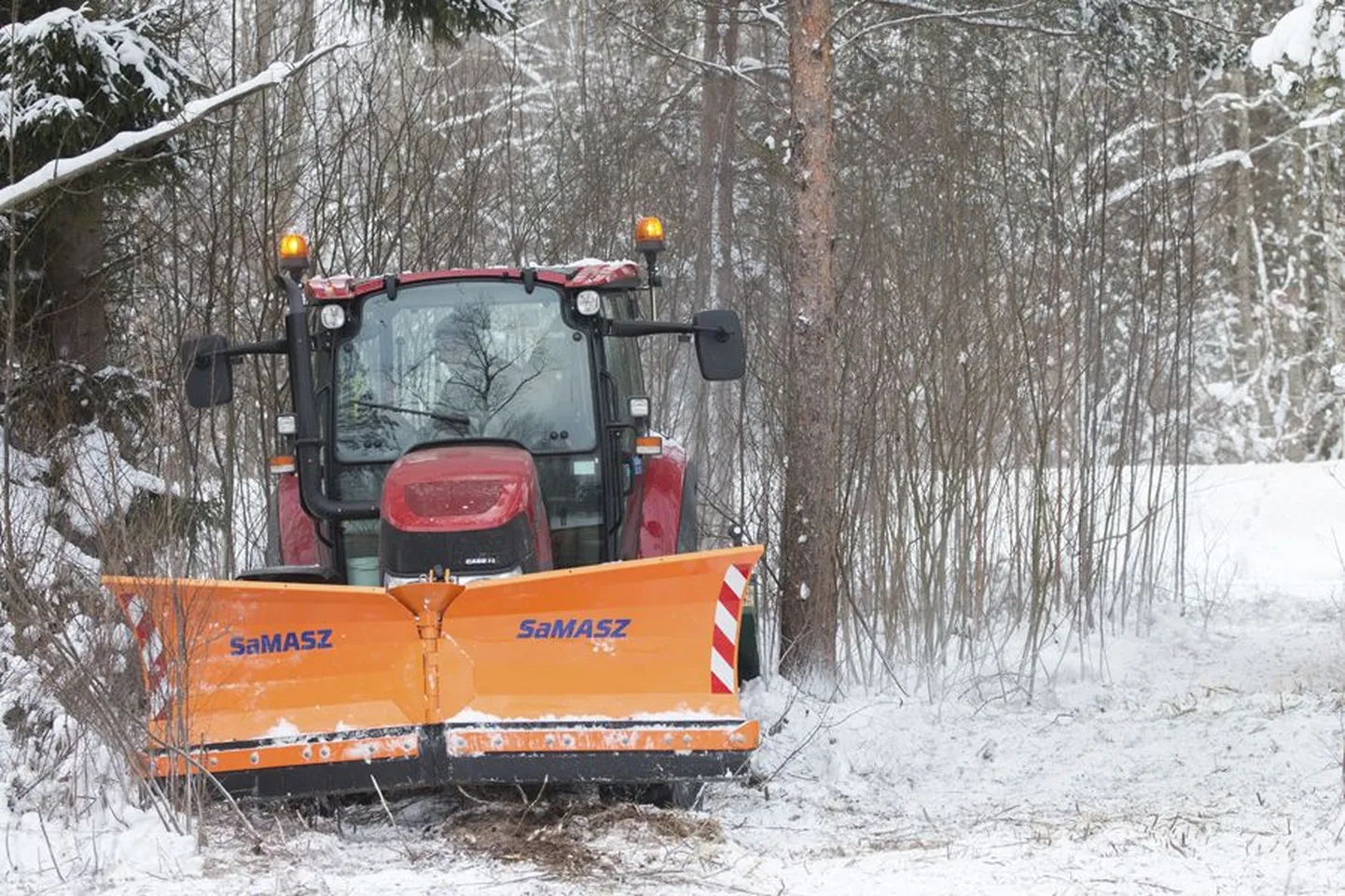 Järveotsas on traktor juba mitu päeva võsas ragistanud. Selle töö tulemusena peaks kallas puhtaks saama.