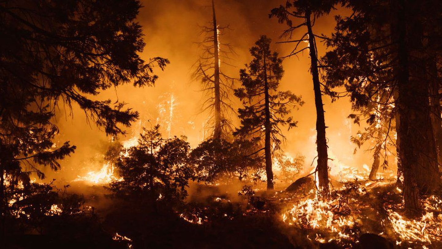 Лесной пожар в Калифорнии.