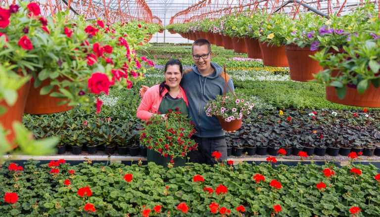 Tori lilleaia pererahvas Triin ja Kristjan Sohlu rõõmustasid, et suvelillemüük läks tänavu väga hästi ja juuni alguseks oli kasvuhoone juba peaaegu tühjaks viidud.