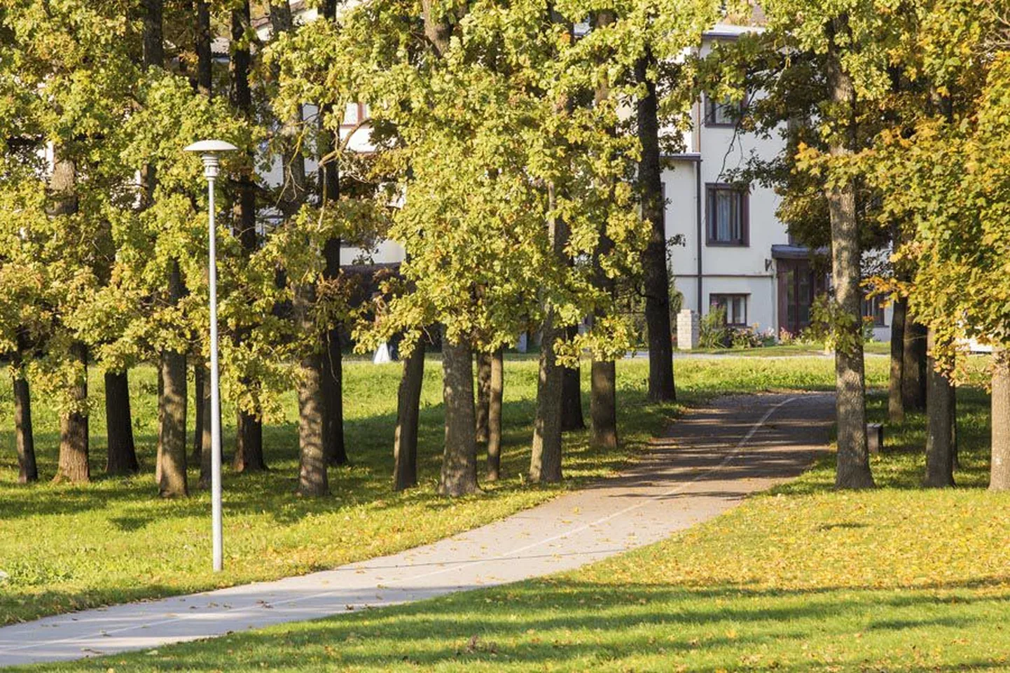 Viljandis rünnati üht naist esmaspäeva hommikul Valuoja orus ja teist teisipäeval Männimäel. Ründajad olid erinevad inimesed, aga tabatud pole neist ühtki.