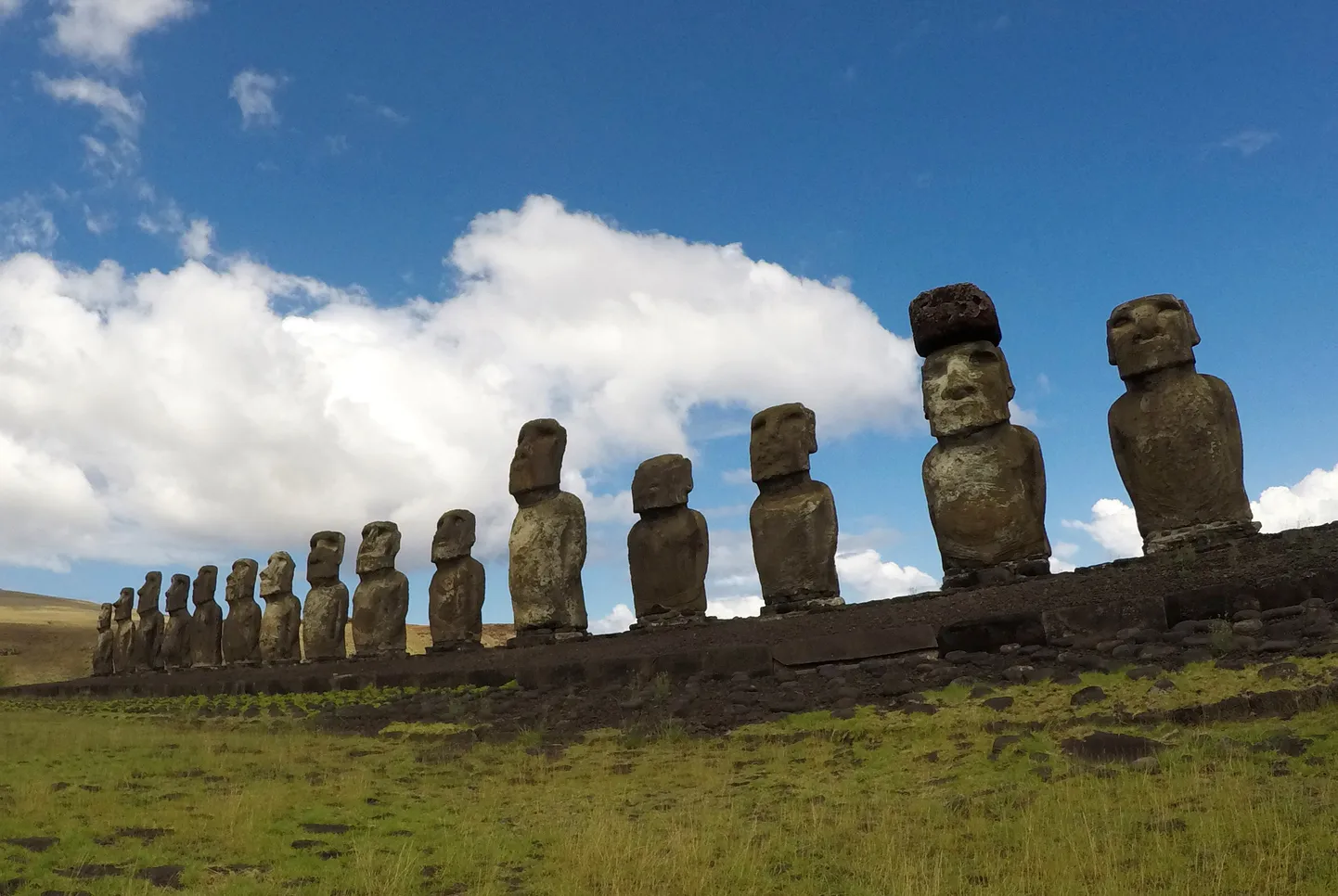 Osa Lihavõttesaare kuulsatest kujudest ehk moai'dest. Teadlaste uus uuring lükkas ümber selle saare elanike väljasuremise ja keskkonna hävitamise teooria.