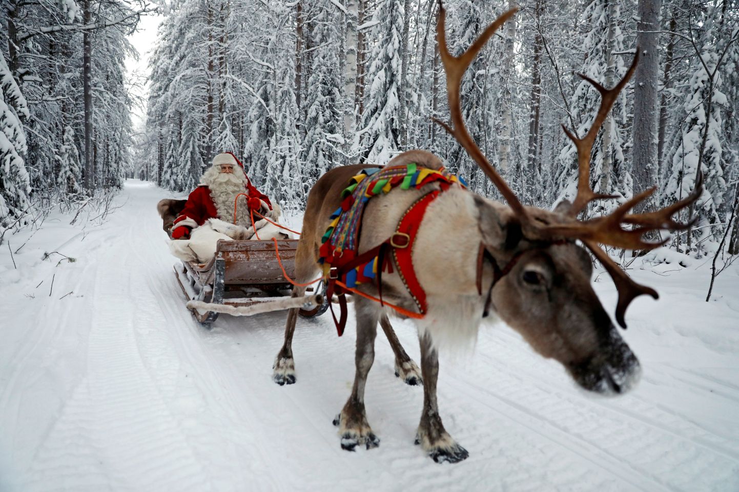 Санта Клаус, Рованиеми, Финляндия
