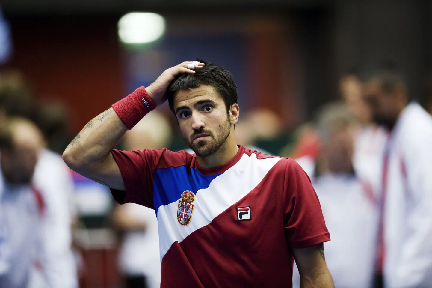 Janko Tipsarevic