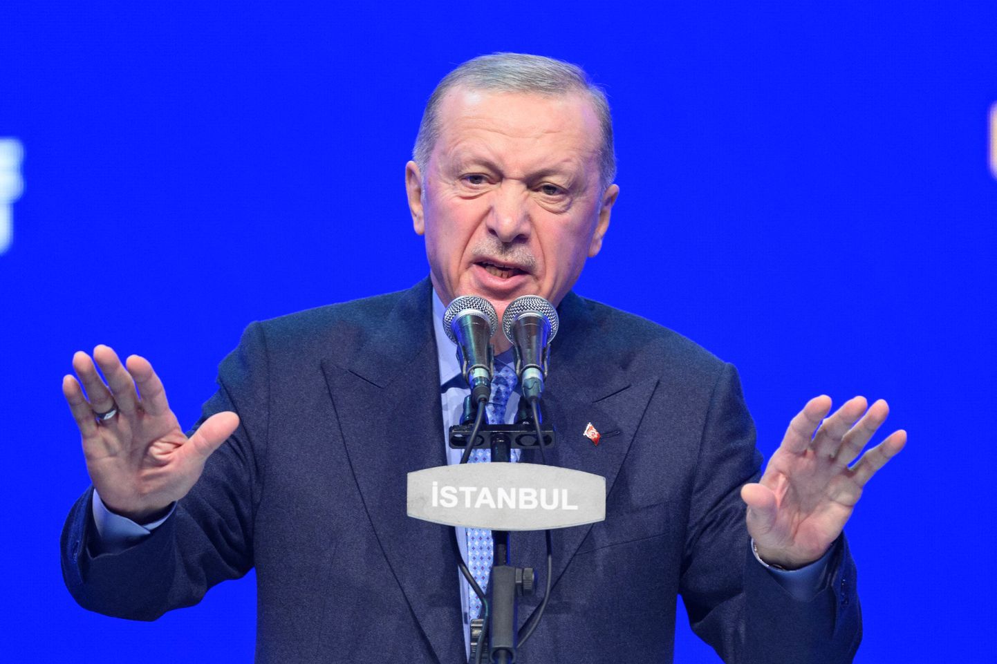 Türgi president Recep Tayyip Erdoğan eelmisel nädalal Istanbulis.