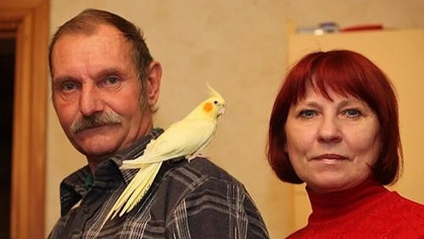 Raksta foto