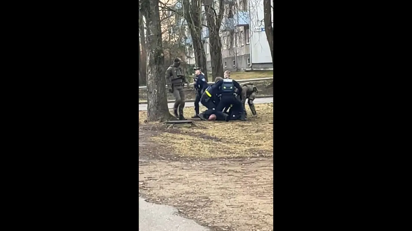 Драка у Magistrali.