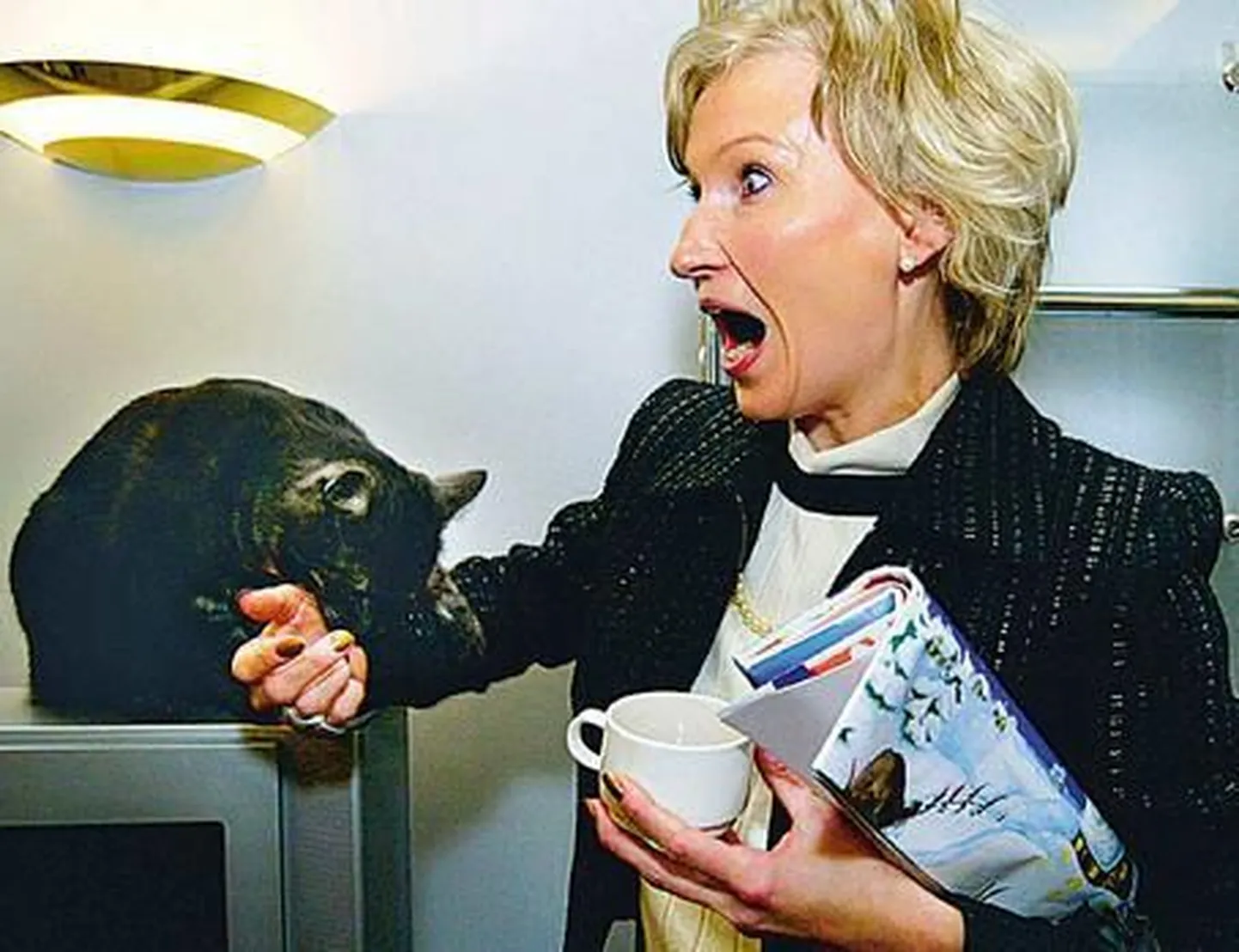 Miisu – peaminister J. Partsi lemmikloom teadis juba aastal 2004, et Kristiina Ojulandi ei saa usaldada