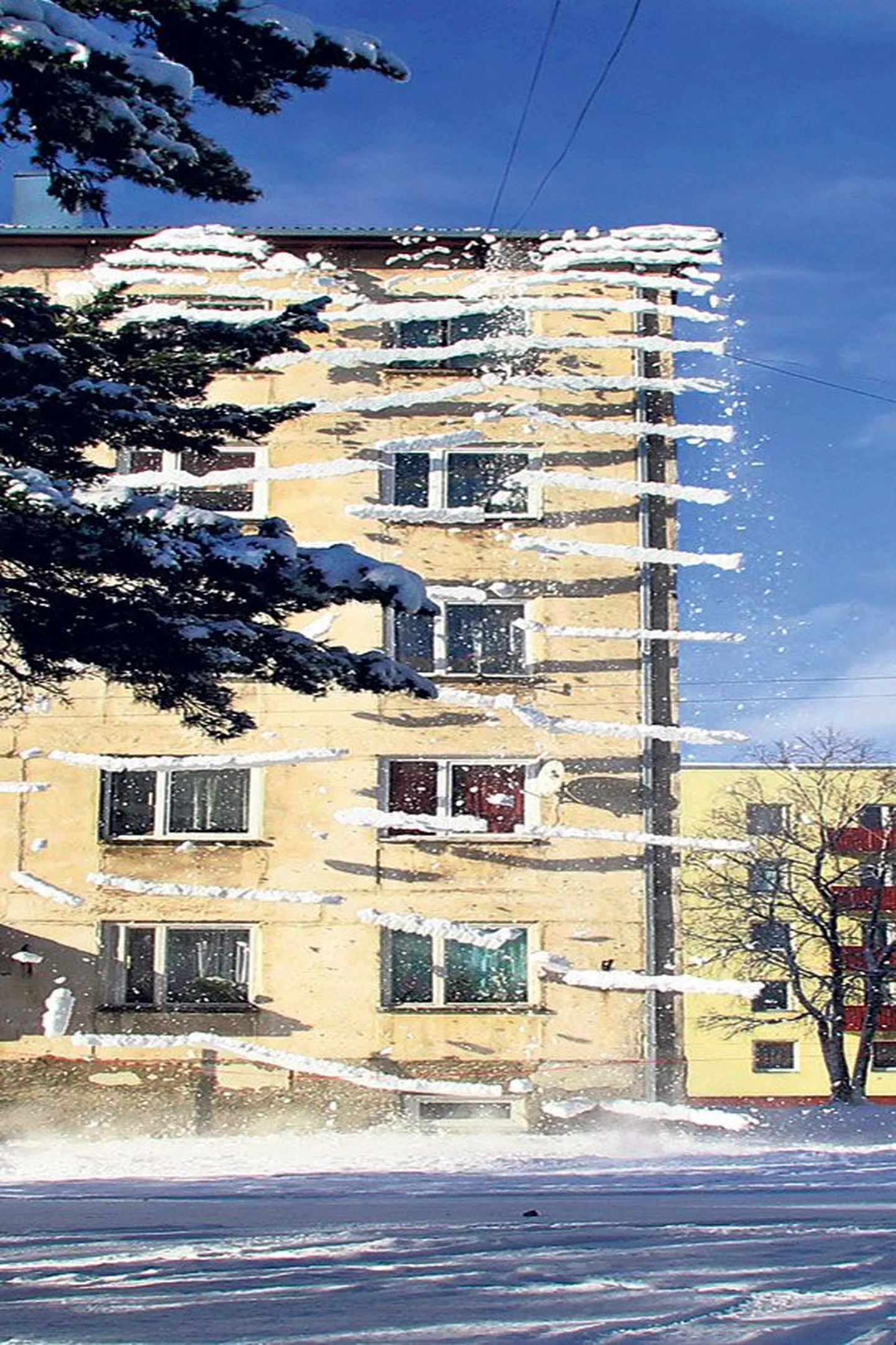 Фото статьи