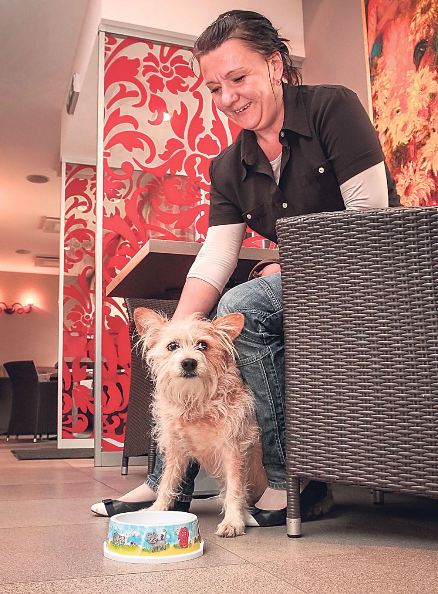 Frens Café juhataja Katrin Leppik ei võta oma koera tavaliselt tööle kaasa, kuid rahulik ja sõbralik Friida on rahul ka kohviku kliendi staatusega.