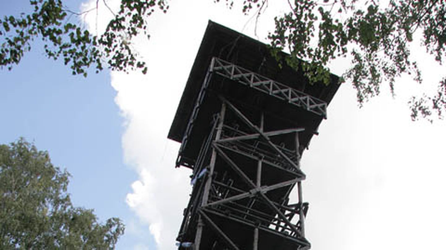 Siiani peeti Ida-Virumaa kõrgeimaks looduslikuks tipuks Tärivere mäge, kuhu RMK ja Iisaku vald rajasid üle kümne aasta tagasi Iisaku vaatetorni.