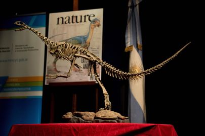 Rekonstruktsioon Chilesaurus'e skeletist Foto: AFP / Eitan Abramovitš