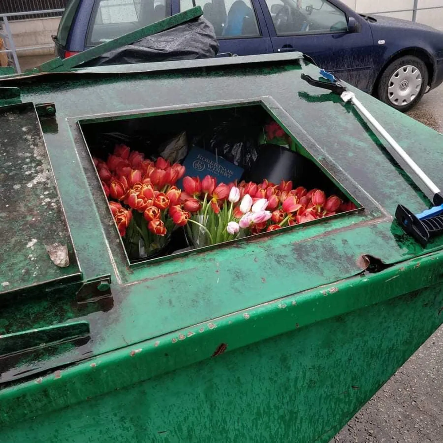 Фото статьи