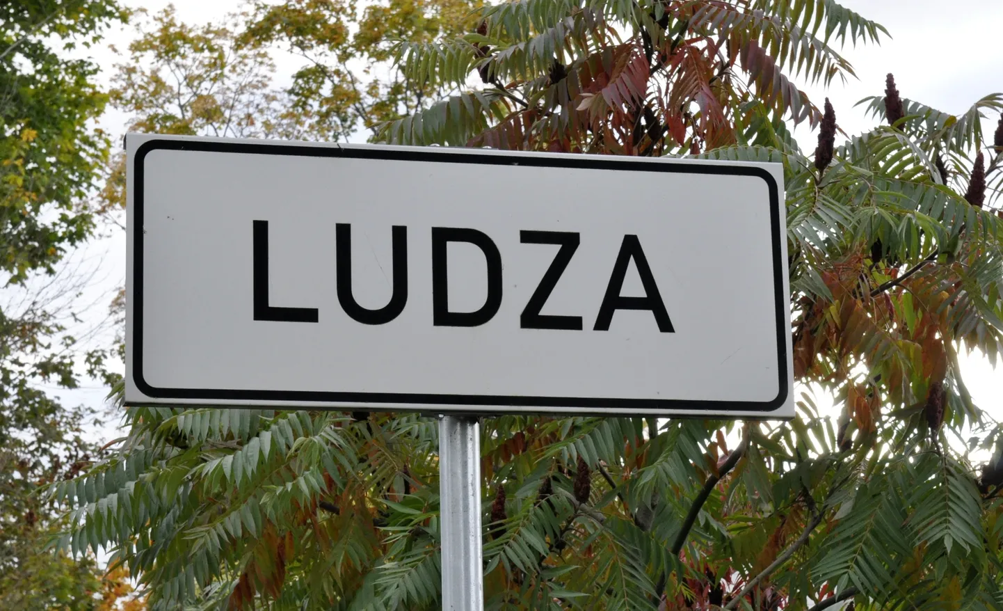 Vietas norādes ceļa zīme - Ludza. Ilustratīvs attēls.