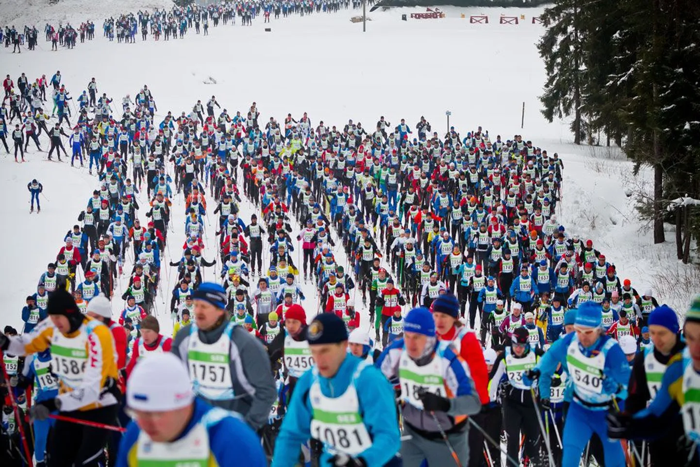 Tartu maraton.