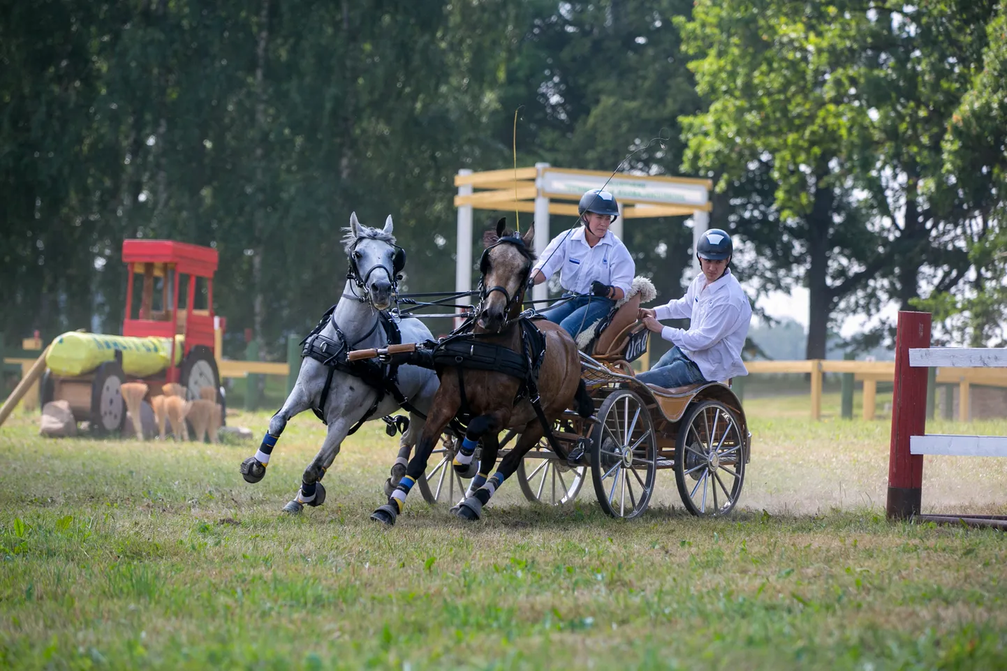 Pille-Riin Roosleht ponipaariga Olustveres 2018 a.