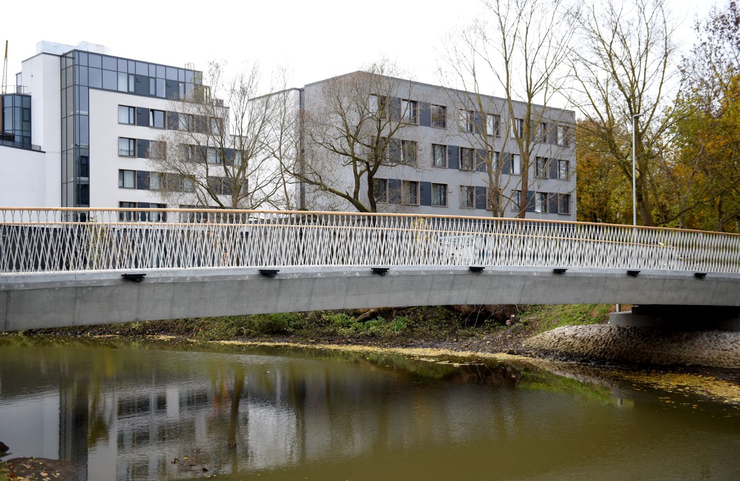 Jaunais gājēju un velobraucēju tilts pār Kīleveina grāvi, kas savieno Torņakalna teritoriju un Latvijas Universitātes Akadēmisko centru ar sabiedriskā transporta tīklu Mūkusalas ielā.