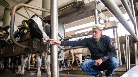 Infortari soetatav piimafarm on majanduslikult heal järjel