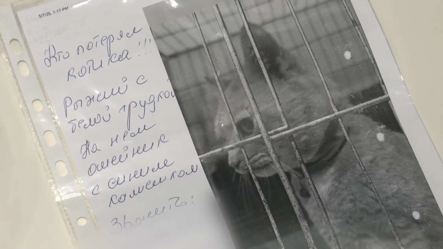 Raksta foto