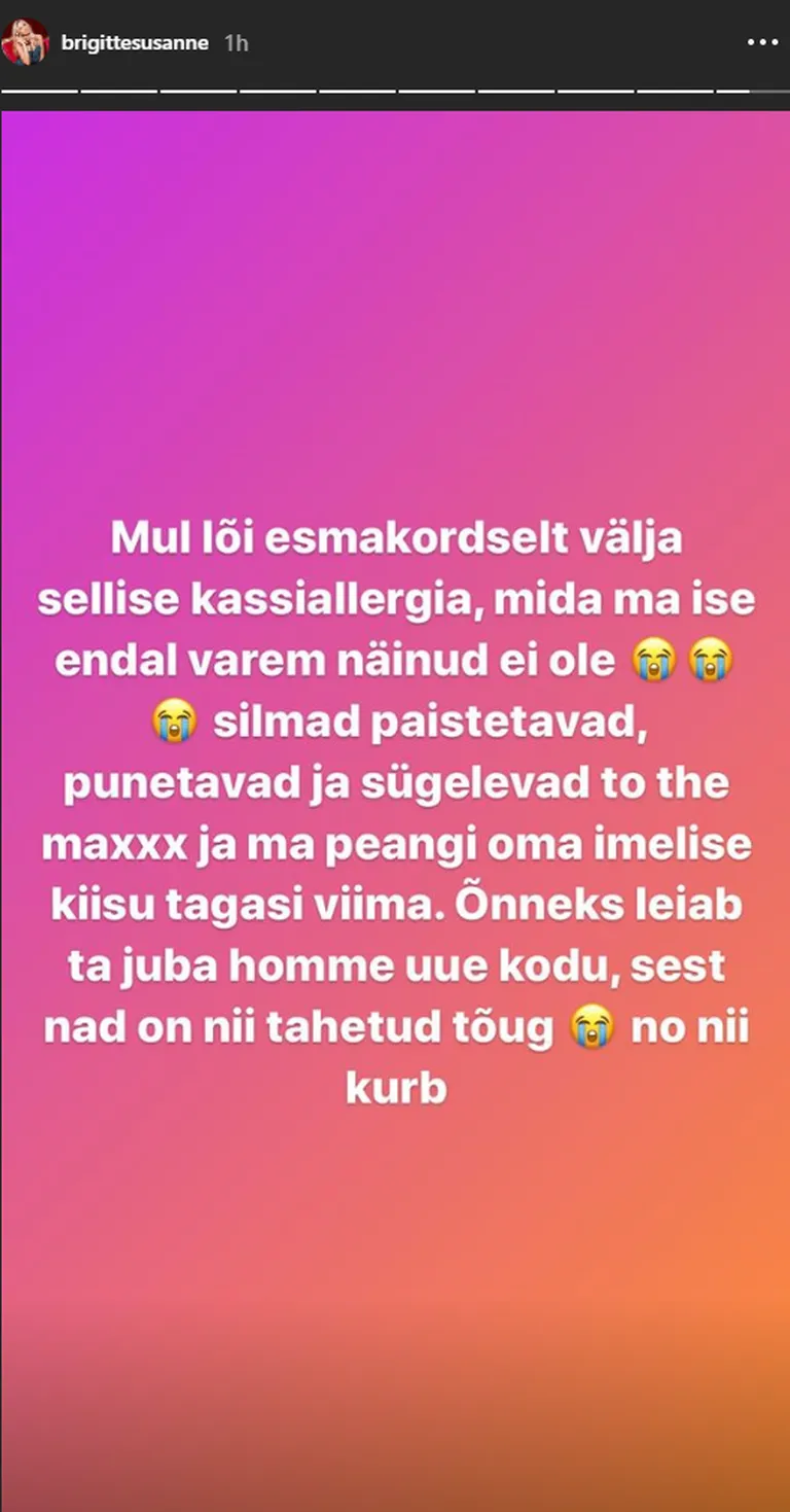 Hunt teatas kurvastusega, et peab kiisupojast loobuma.