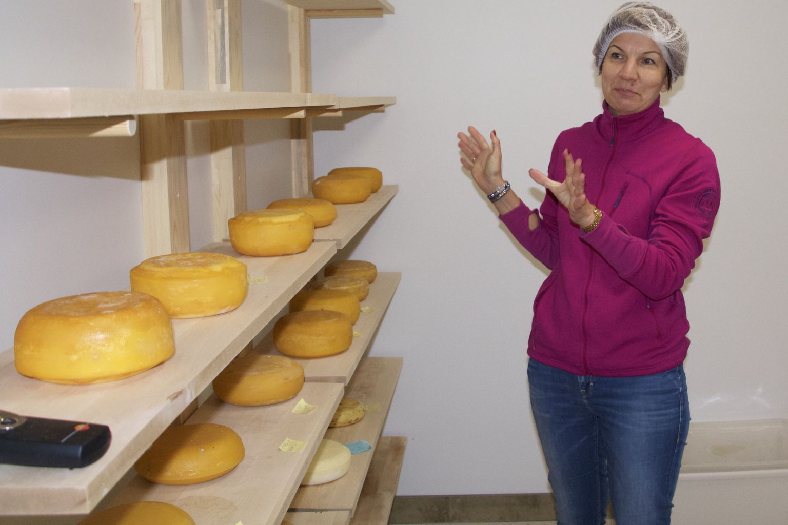 Kersti Lužkovi sõnul kulub ühe kilogrammi juustu tegemiseks kümme liitrit piima.