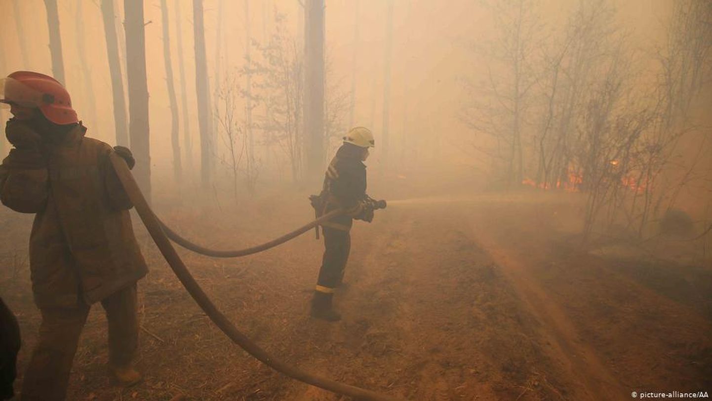Тушение лесных пожаров в зоне отчуждения ЧАЭС