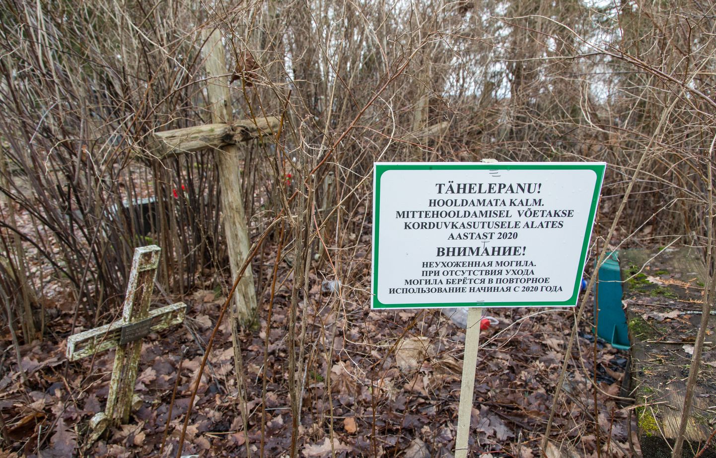 Два года назад на заброшенных могилах на Йыхвиском кладбище начали устанавливать таблички с предупреждением о передаче участков в повторное использование. Несмотря на это, никто не пришел оформить могильные участки.