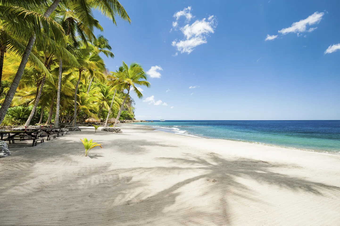 St. Lucia