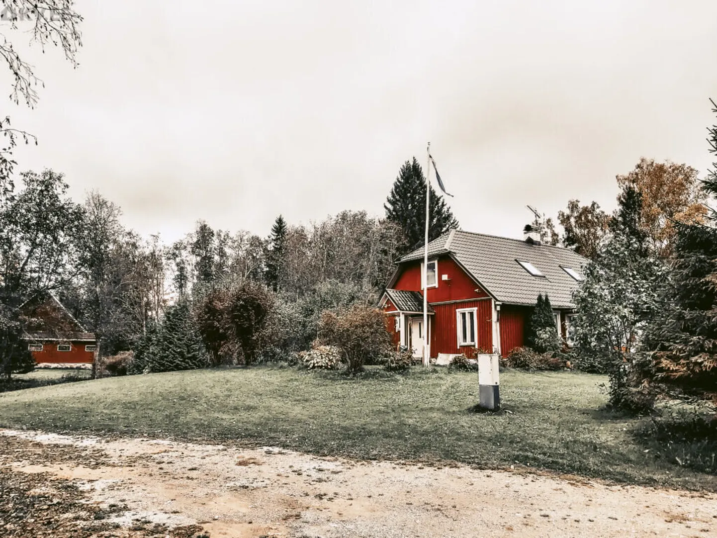 Фото статьи