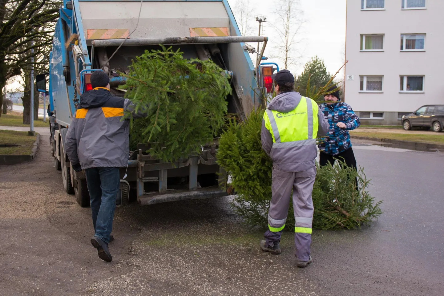 Jõulukuuse saab Viljandi linnas tasuta prügilasse saata.
