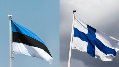 Финны предупреждают соотечественников: избегайте этих слов при посещении Эстонии