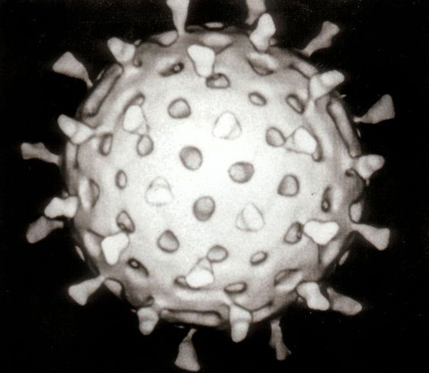 Teadlased: viirus võib nakatada viirust
