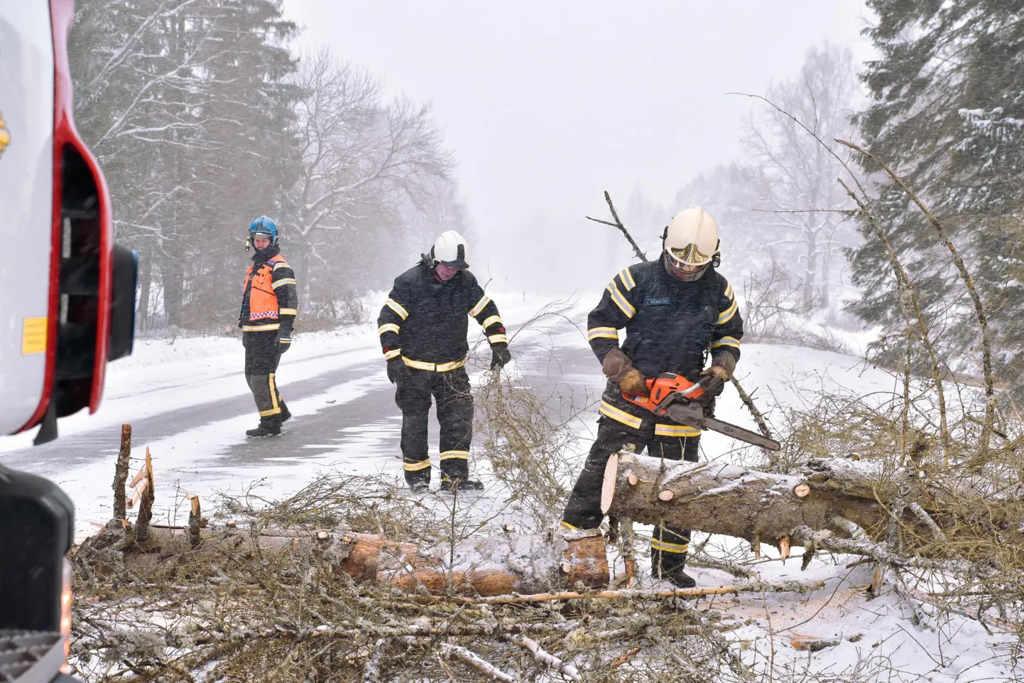 Päästjad tükeldasid teele kukkunud puu. Foto on illustreeriv.