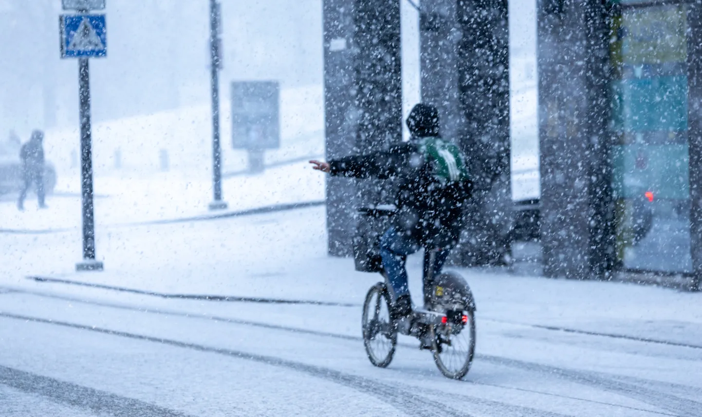 Lumesadu Tartu kesklinnas.