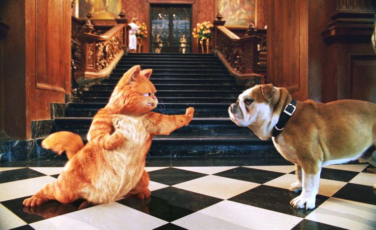 Kass Garfield võitlemas filmis «Garfield: A Tail of Two Kitties» buldogiga