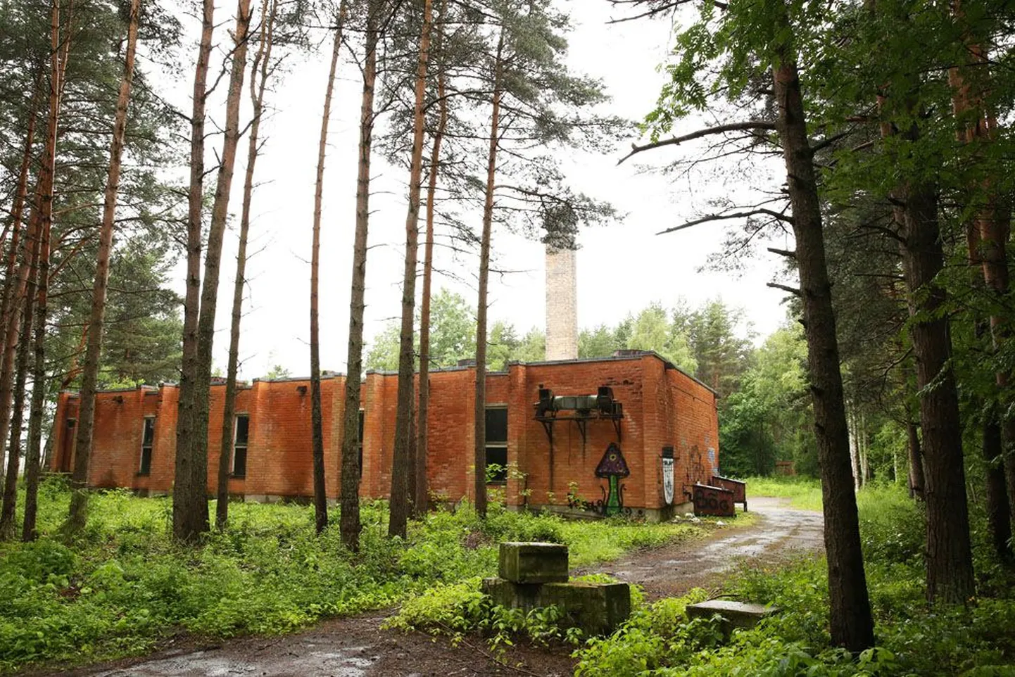 Ainult üks näide. 2. detsembri 2005 käskkirjaga kohustas Villu Reiljan maa-ametit vahetama Pirita jõeoru maastikukaitsealal asuva asuva 9,3 hektari suuruse krundi (pildil) viie asendusmaa (järgnevatel piltidel) vastu Tallinnas.